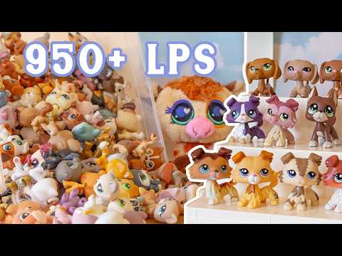 My 950+ Littlest Pet Shop Collection!