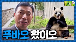 Download lagu Today is Fu Day! Grandpa and Baby Panda Fu Bao Reunited After a Long Time🐼 mp3 Download lagu Today is Fu Day! Grandpa and Baby Panda Fu Bao Reunited After a Long Time🐼 mp3