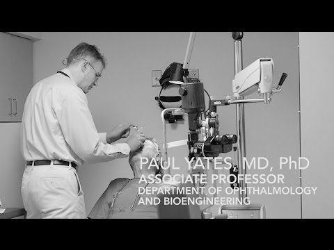 U.Va. Researchers ID Best Source of Stem Cells to Block Diabetic Blindness