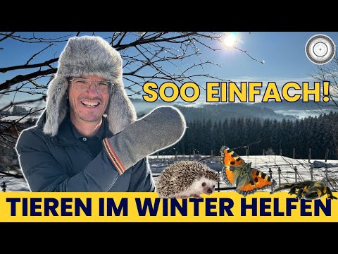 GENIAL - SO EINFACH unterstützt du TIERE im Winter 🐦