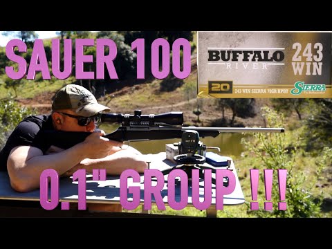 Sauer 100 Rifle Review