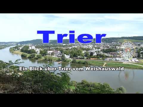 Trier vom Weishauswald