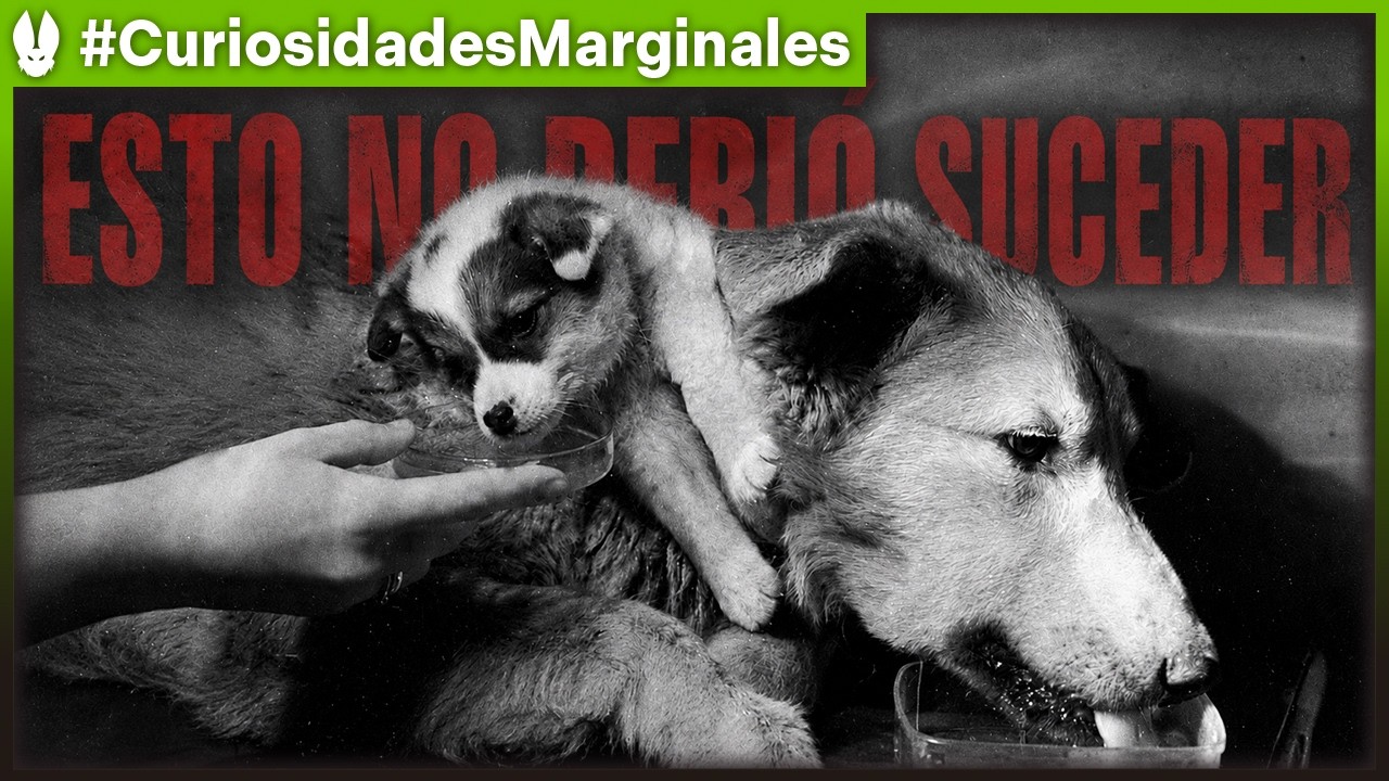 Los Perros Injertados de Démijov.