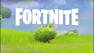 【フォートナイト2】のんびりフォトナやる4