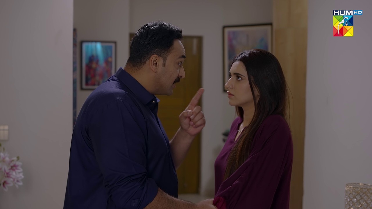 Mujh Se Itna Masla Hai Tou Niklo Meray Ghar Se Bahir...! #MinsaMalik - Hadd - HUM TV