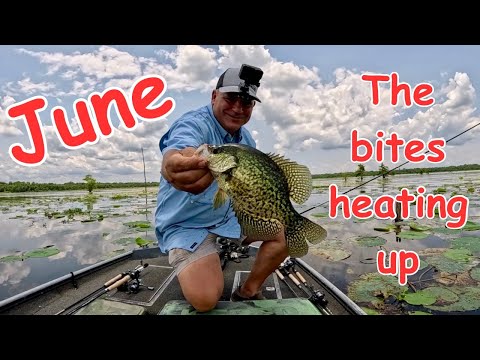 Crappie & Bluegill Catch*Clean*Cook (Big Backyard Family Feast )Frying Fish, Shrimp & Chicken