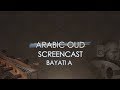 Video 3: Screencast Bayati A