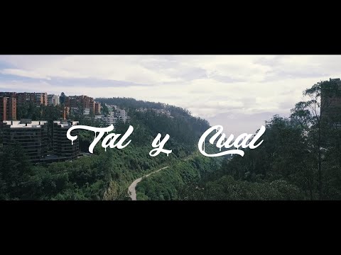 Jta Blss - Tal y Cual (Official Video)