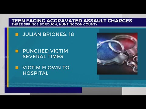 Pa. Game Commission asking for help in surveying wild turkeys