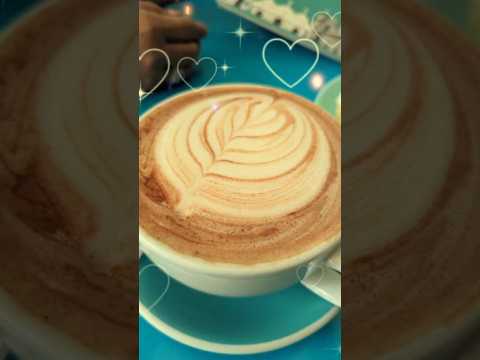Coffe Lovers; San Rafael del Norte.