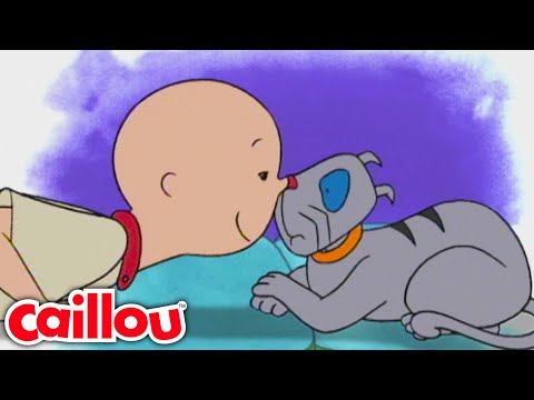 Caillou i Gilbert | Oblutak - WildBrain | Učenje za djecu