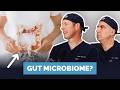 How To Fix Your Gut Microbiome And It Likely Needs Fixing