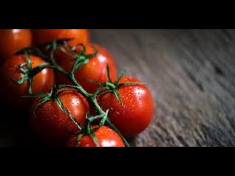, title : 'manfaat tomat untuk kesehatan yanga  Akan Membuat kita  Lebih Sering Mengonsumsinya'