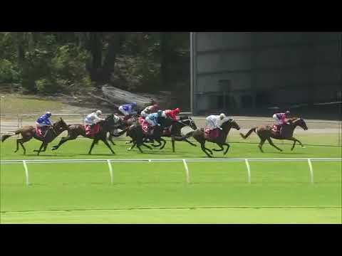 Sir Barnabus - Sunshine Coast Race 1