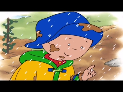CAILLOU PORTUGUÊS - Diversão na Lama (HD)
