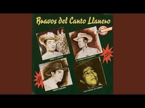 Belleza De Mi Tierra