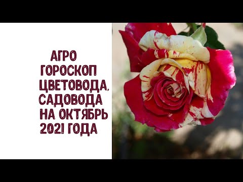 , title : 'Агрогороскоп цветовода и садовода на октябрь 2021 года'