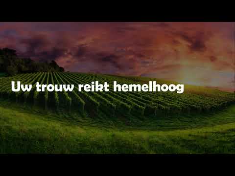 Opwekking met tekst 831 Hemelhoog (versie 2)