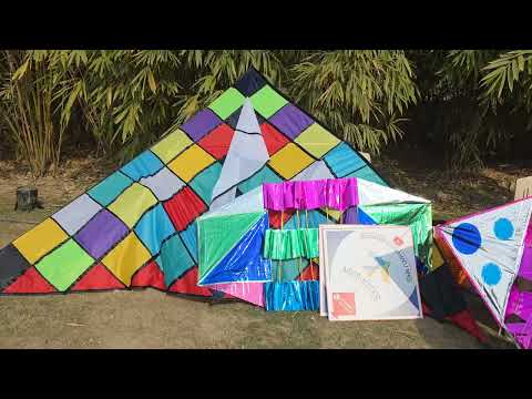 Delhi patang Utsav 2026 #boxkite #delhipatangutsav #uttarayan2026 #kitefestival 