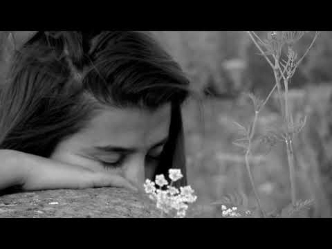 Francis Alÿs The Silence of Ani