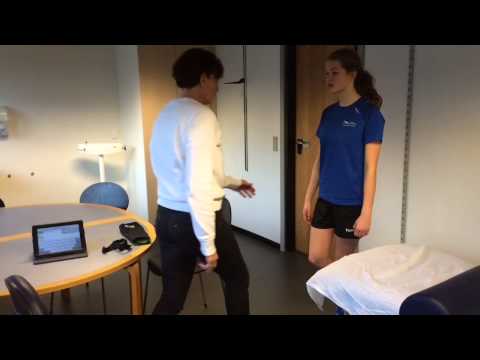 Supportfunktion Haderslev Elite