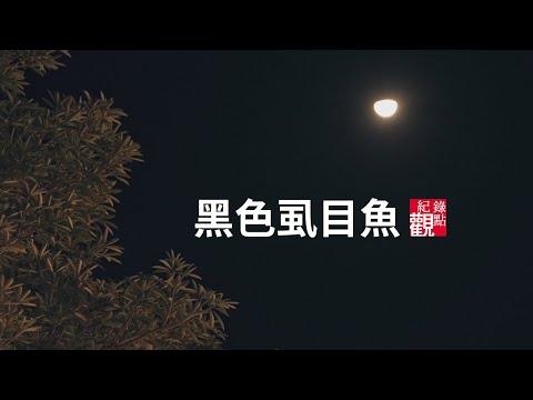 《黑色虱目魚》預告片：官方預告