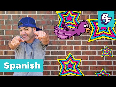 BASHO & FRIENDS - ¿Qué quieres? Learn Spanish courtesy phrases