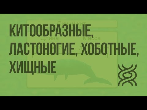 Грыжа межпозвонковых дисков с5-с6 с6-с7 Расходные материалы артроскопия коленного сустава