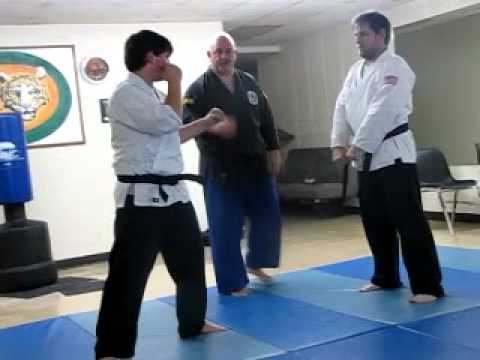 One Step Sparring Techniques - Beginner