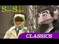 Andrew Stasio News The Count