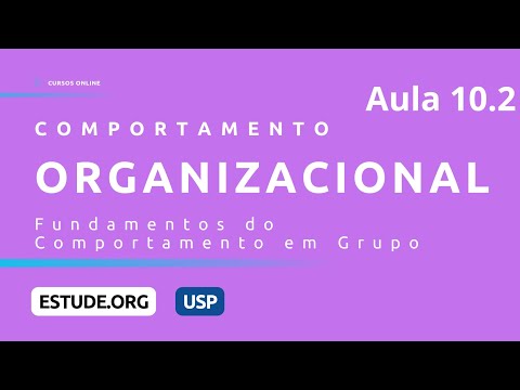 Comportamento Organizacional Aula 1 O que é comportamento organizacional
