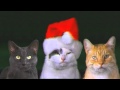 Funny Merry Christmas-merry christmas song-Happy ...