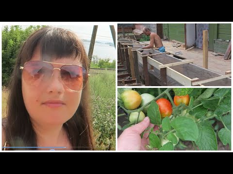 Плохие дела в теплице #стройка #огород