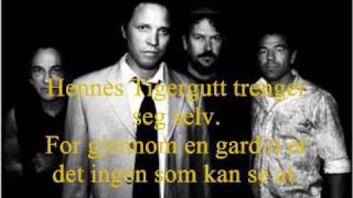 CC Cowboys - Tigergutt Lyrics