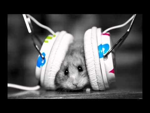 Adele vs. Skrillex Set Fire To Everybody (Ca7's Mashup)