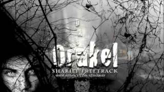SHARIEF - DAS ORAKEL