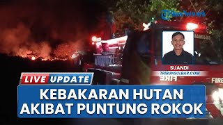 Diduga Gegara Rokok Karhutla di Mamuju Meluas, Api Padam setelah 7 Jam Menyebar Sejak Sore Hari