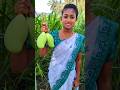 Mango Kulambu Recipe Shorts