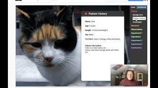 Meoisis Pt 3