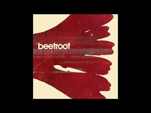 Dear Beetroot - Confusion