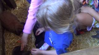 preview picture of video 'Hahndorf Barn (Last Kindy Excursion)'