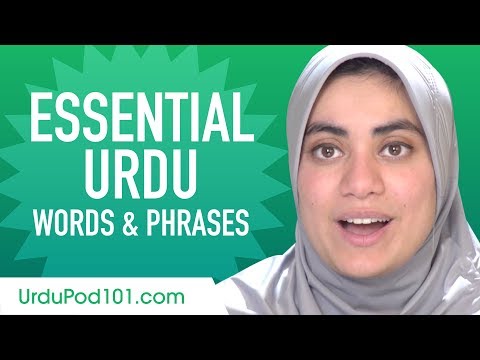 Essential Urdu Words and Phrases to Sound Like a Native