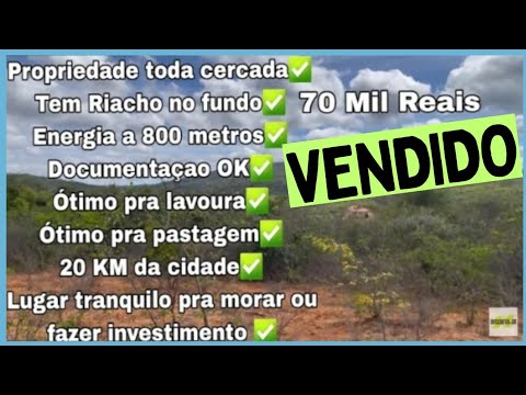 [VENDIDA] PROPRIEDADE 25 HECTARES e ESCRITURA à VENDA em MINAS GERAIS por 70 MIL REAIS