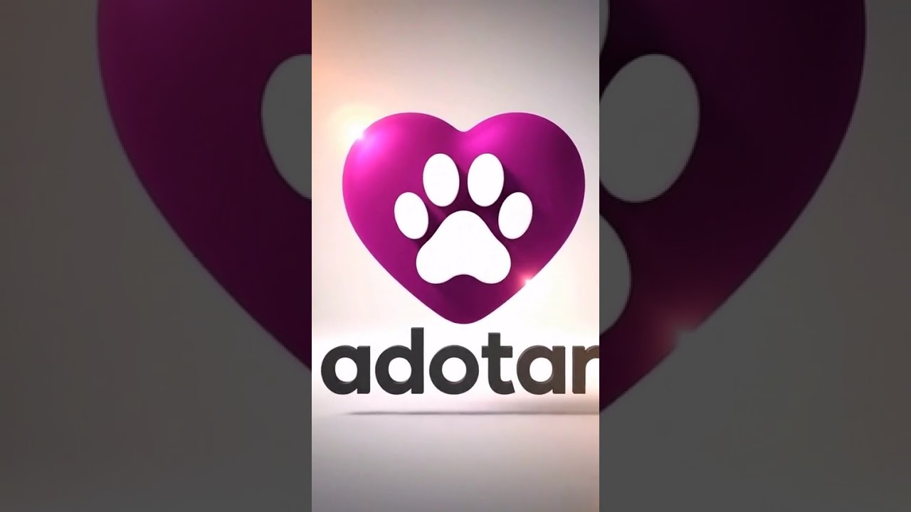 Cachorro raça SRD-ViraLata idade 4 anos nome Francisco