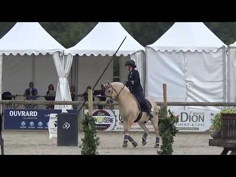 World Championship Working Equitation 2022 in les Herbiers maniabilitè Kertesz Borbala MAROKKO