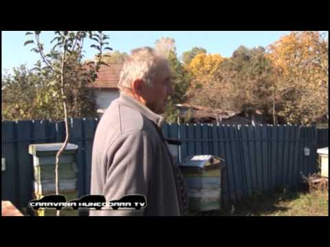 CARAVANA HD - Peştiş