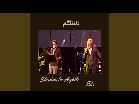 دلتنگم (feat. Shadmehr Aghili)