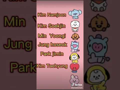 BTS FAN CHANT (cute ver.)