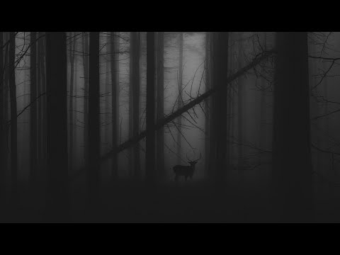 2020 Techno 130 bpm - (Charlotte de Witte, Atroxx, Dolby D and more)