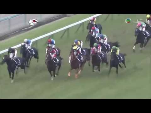 2016 寶塚紀念賽 宝塚記念 勝之石 Marialite マリアライト